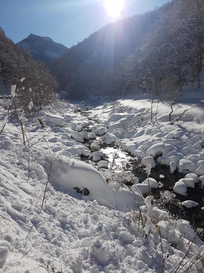 Chalets Mongioie Pra Di Roburent San Giacomo  Dış mekan fotoğraf